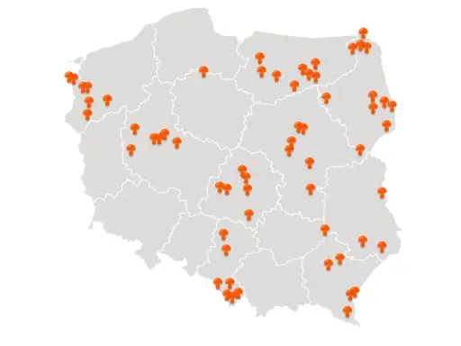 Gdzie na grzyby z noclegiem? TOP miejsca i porady eksperta