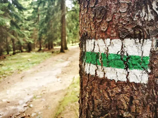 Jaki kolor szlaku jest najłatwiejszy? Obalamy mit! Jak ocenić szlak?