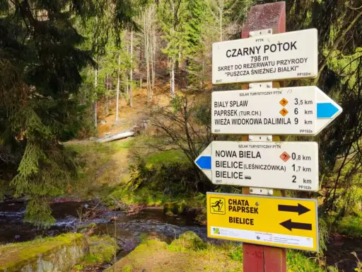 Kolory szlaków PTTK: Mit o trudności obalony! Co naprawdę znaczą?