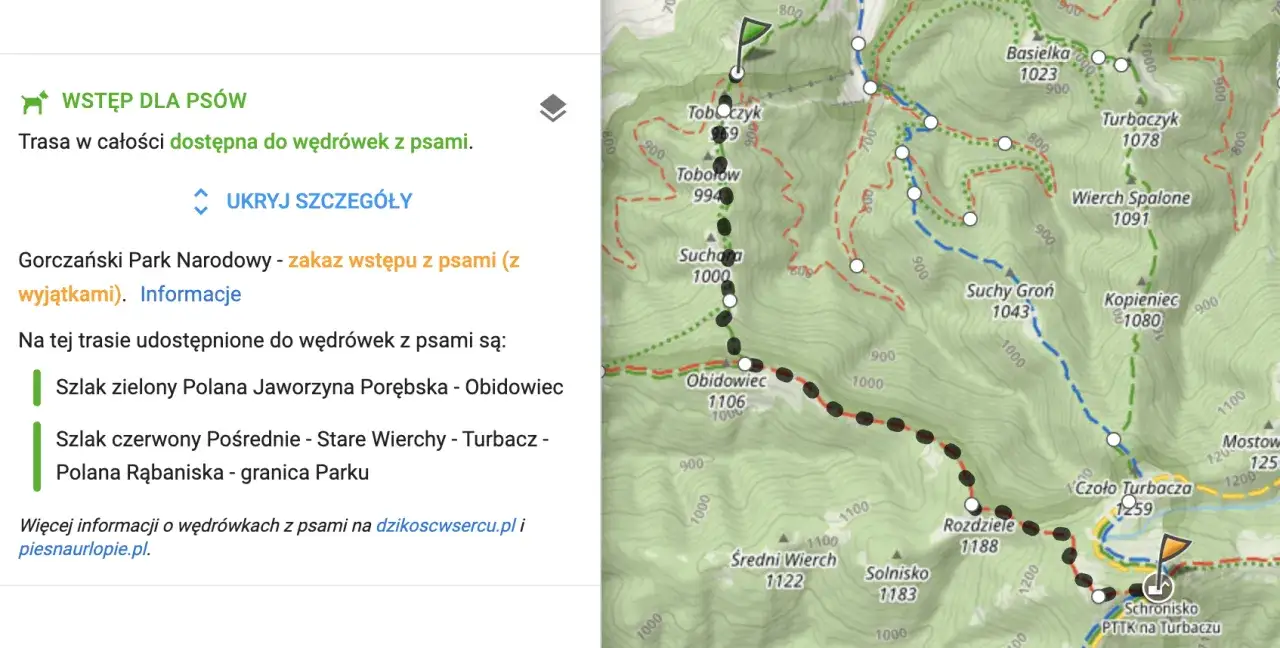 Pies z plecakiem w górach