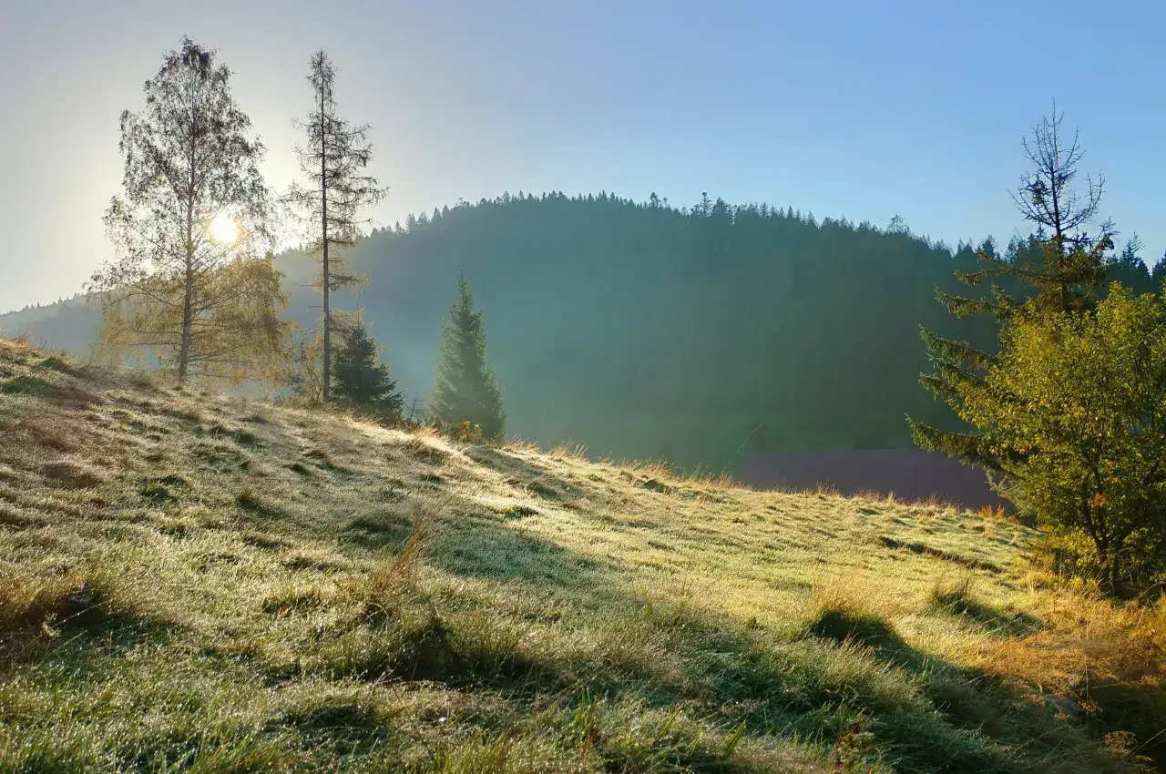 Gorce szlak Stare Wierchy Turbacz