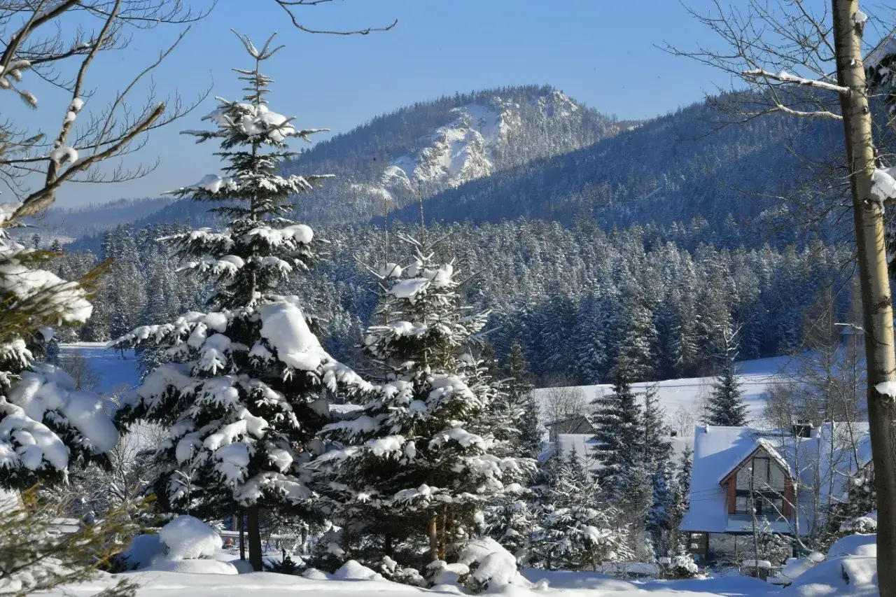 Czynniki wpływające na ceny noclegów Zakopane