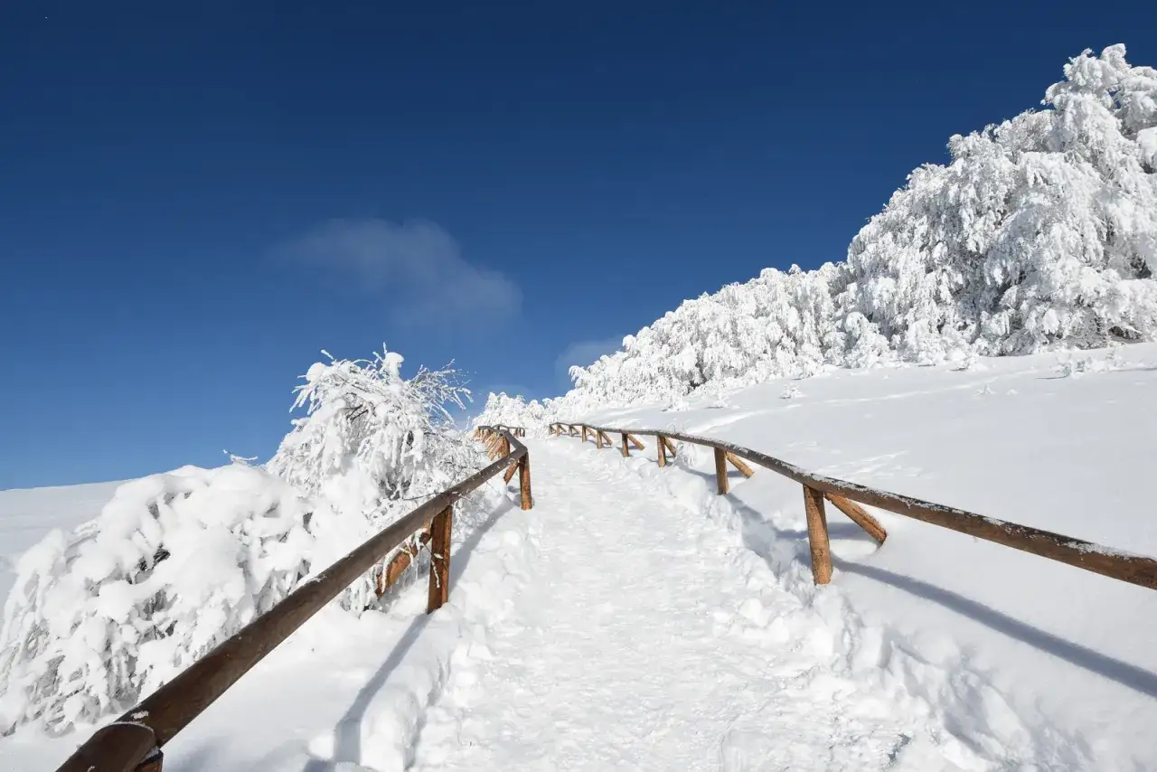 Raczki i kije trekkingowe Bieszczady zima