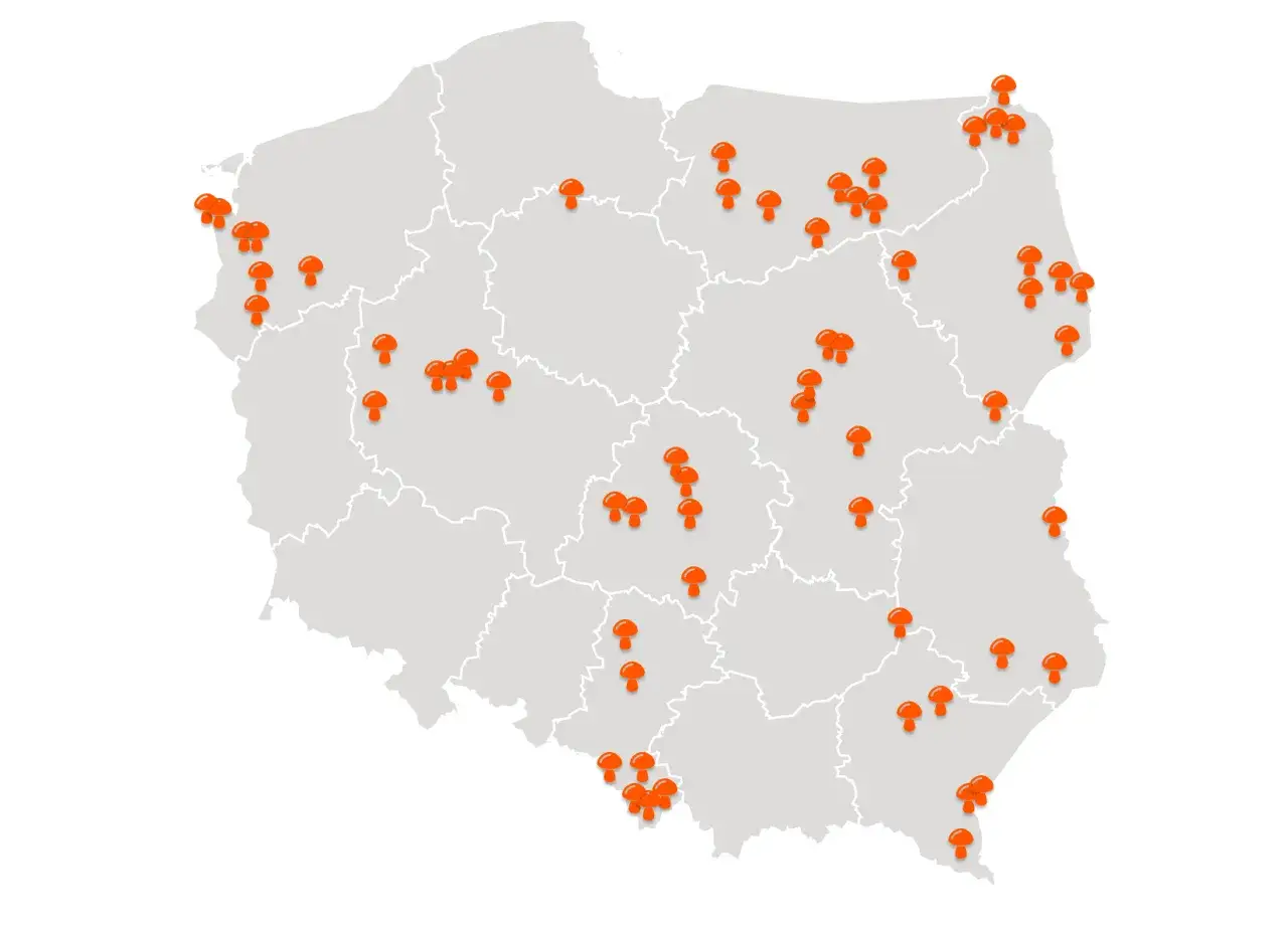 Kosz pełen grzyb&oacute;w i przytulny domek w lesie